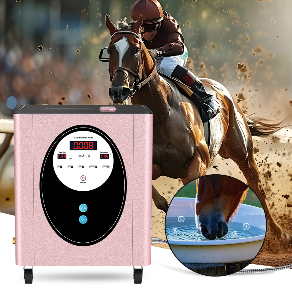 Spa Wellness Health - SUYZEKO Wasserstoff-Wassermaschine für das ganze Haus,
